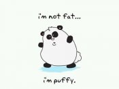 fluffy-panda.jpg